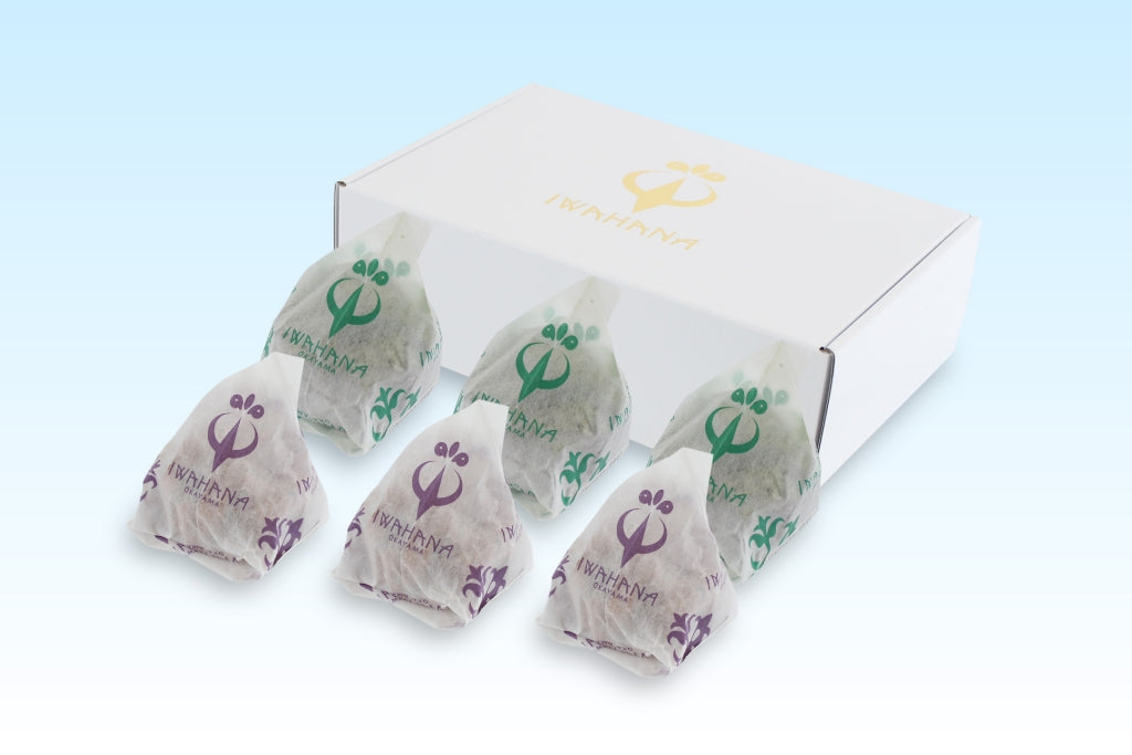 IWAHANA 焼きモンブラン 詰合せ 6個入